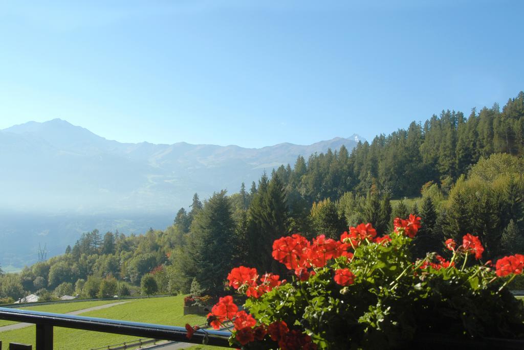 Agriturismo Plan D'Avie Аоста Номер фото
